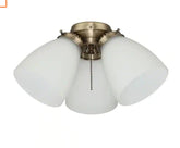 3-Light Antique Brass Ceiling Fan Shades LED Light Kit